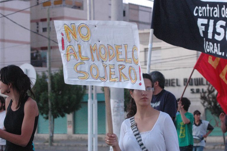 Lee más sobre el artículo Contra el saqueo de nuestra tierra y sojización