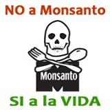 En este momento estás viendo Jornada Mundial contra Monsanto