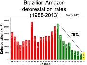 En este momento estás viendo Brasil lidera las reducciones mundiales de CO²