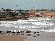 En este momento estás viendo 8 de junio – Día Mundial de los Océanos