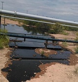 En este momento estás viendo Derrame de petróleo en Catriel