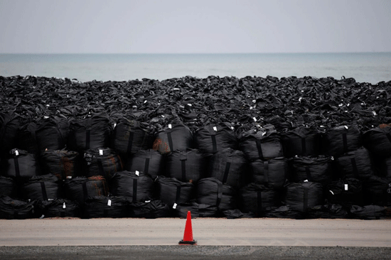 Lee más sobre el artículo El legado de Fukushima, cuatro años después