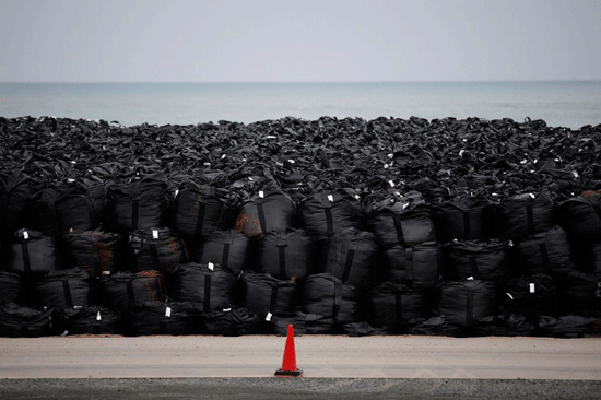 En este momento estás viendo El legado de Fukushima, cuatro años después