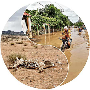 Lee más sobre el artículo Inundaciones, sequías, incendios