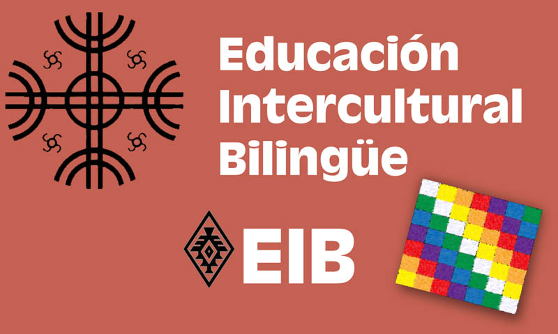 Lee más sobre el artículo ¿Qué es la EIB?