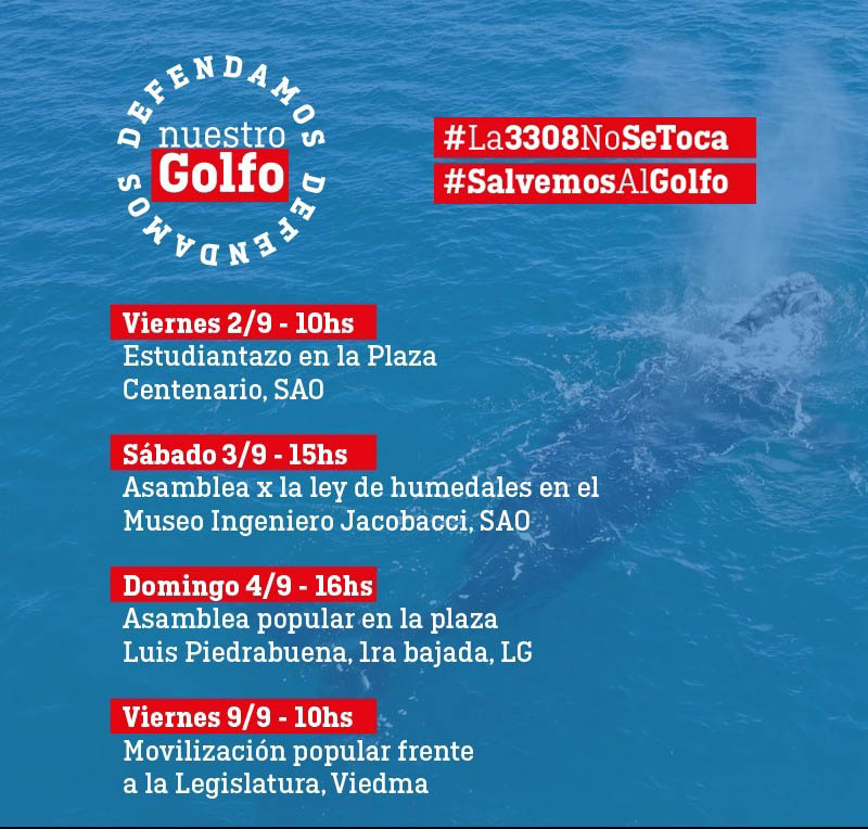 Lee más sobre el artículo Campaña en defensa del Golfo San Matías