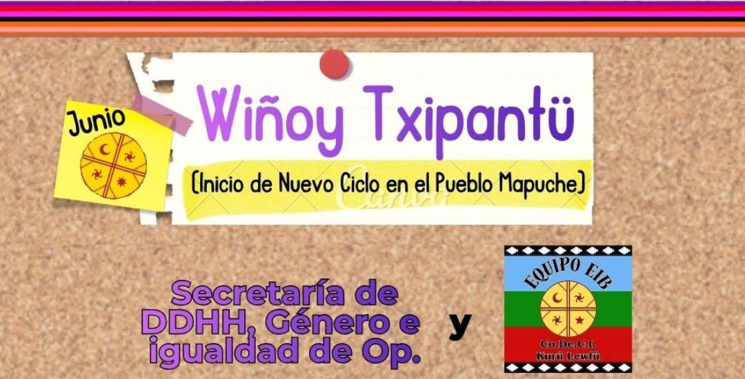 En este momento estás viendo Wiñoy Txipantü: garantizar derechos también es reconocer identidades